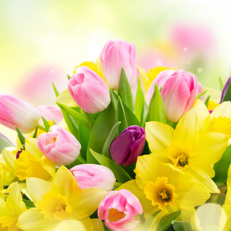 ŻYCZENIA WIELKANOCNE